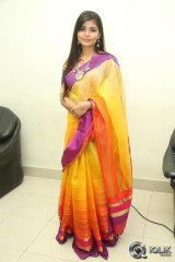 Tiger Movie Audio Launch